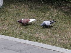 -长春市南湖公园