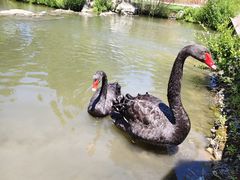 -鄂尔多斯野生动物园