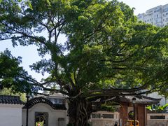 -墨池公园
