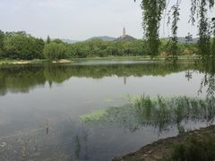 -北坞公园