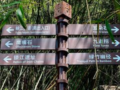 -铁山坪森林公园