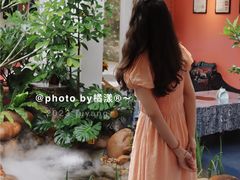 -菌林天下·野生菌汤锅