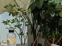 -大树餐厅(红旗街万达店)