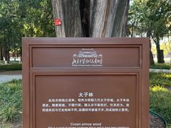 -北京市劳动人民文化宫(太庙)
