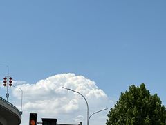 -王家土菜馆(霍山县店)