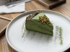 开心果巴斯克-溯洄咖啡VORTEX COFFEE