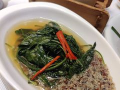 上汤辣椒叶-天瑞轩·粤菜餐厅