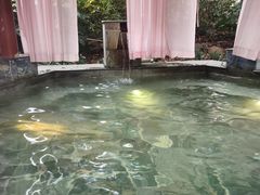 -通程温泉大酒店
