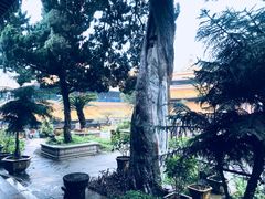 -普陀山风景名胜区-法雨禅寺