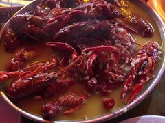 蒜泥龙虾-杨氏青龙虾·羊蝎子(托乐嘉店)