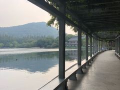 -西湖外事游船(花港观鱼码头)