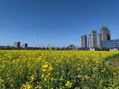 -光明小镇欢乐田园