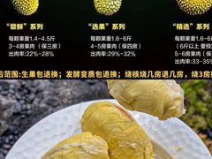 -开皇马来西亚榴莲美食店(华强北店)