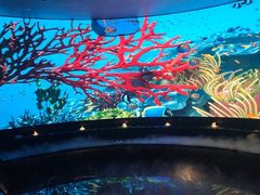 -唐宫足道·SPA·住宿24H会所(木渎店)