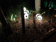 -天目湖御水温泉·度假酒店