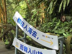 -呀诺达热带雨林