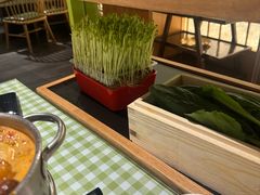 -番食园鲜食火锅(高新店)