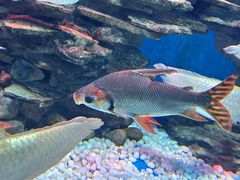 -多彩贵州城极地海洋世界