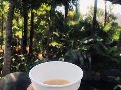 -西双版纳洲际度假酒店-海鲜傣味烧烤·侬香全日制餐厅