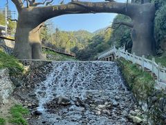 -梅岭月亮湾山体公园