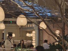 -桂满陇·海市蜃楼·黑金(国金店)