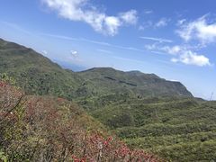 -大围山国家森林公园