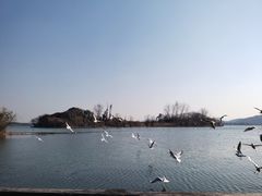 -渤公岛生态公园