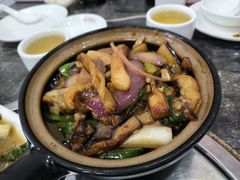 -力哥地道海南菜·联谊文昌鸡老店