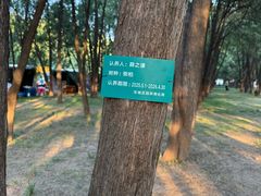 -半天妖烤鱼(新中关购物中心店)