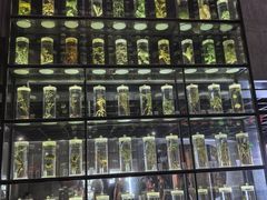 -广东中医药博物馆