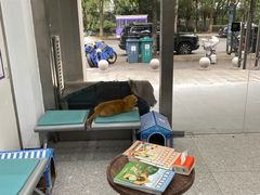 -四月宠物医院·猫专科·心脏专科·内科(转塘店)