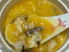 -新光酒家·河豚·海鲜·蟹料理(浦东店)