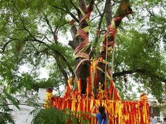 -大槐树寻根祭祖园