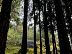 -玉苍山国家森林公园