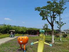 -菊园百果园