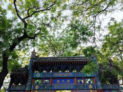 -北京国子监胡同