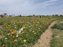 -歌斐颂巧克力小镇