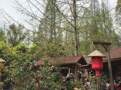 -青城甲(青城山店)