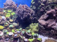 -珠海长隆海洋王国