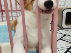 -白夜2D咖啡馆