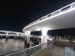 -演武大桥观景平台