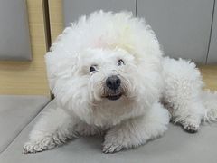 -美联众合动物医院·24h转诊中心