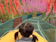 -十渡东湖港风景区