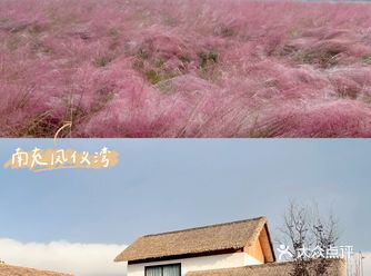 成都自驾3小时，19.9元看粉黛乱子住小木屋