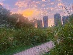 -汉江湾体育公园
