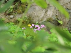帽峰山-广州市帽峰山景区
