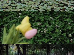 -艾溪湖湿地公园