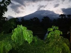 -飞鱼&摩娜潜水度假村