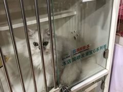 -1013 PET SHOP 宠物商店(近铁城市广场店)