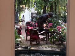-Fern Forest Cafe